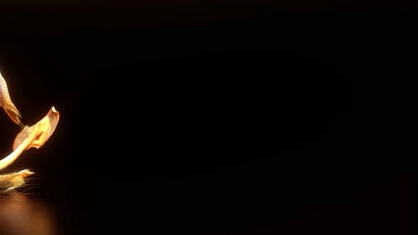 Sussy Sweet hard fucking anal. Interracial 5 on 1