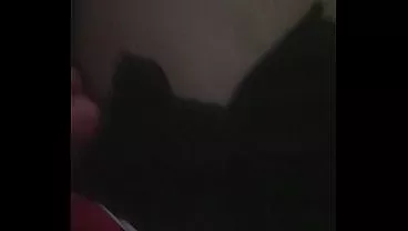 Xvideos